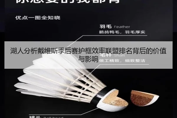 湖人分析戴维斯季后赛护框效率联盟排名背后的价值与影响